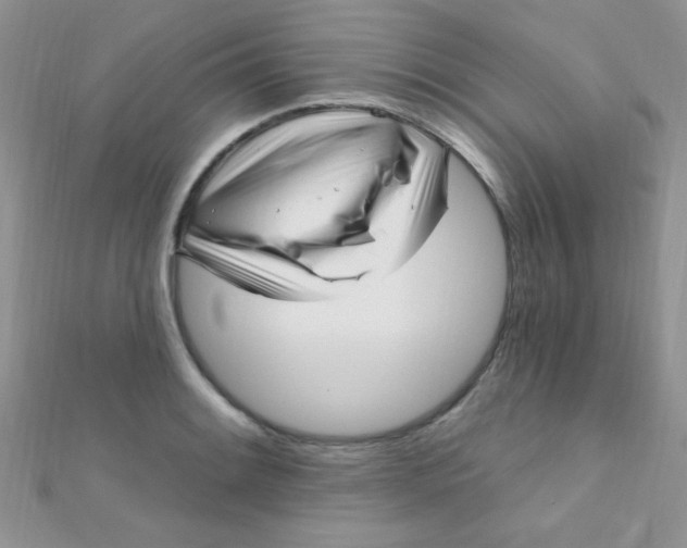 X0000112391084200909032009