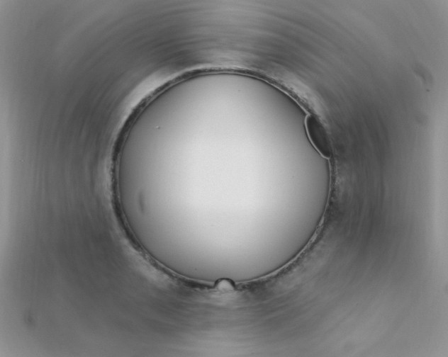 X0000112391085200909032009