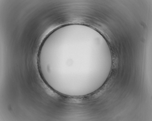 X0000112391086200909032009