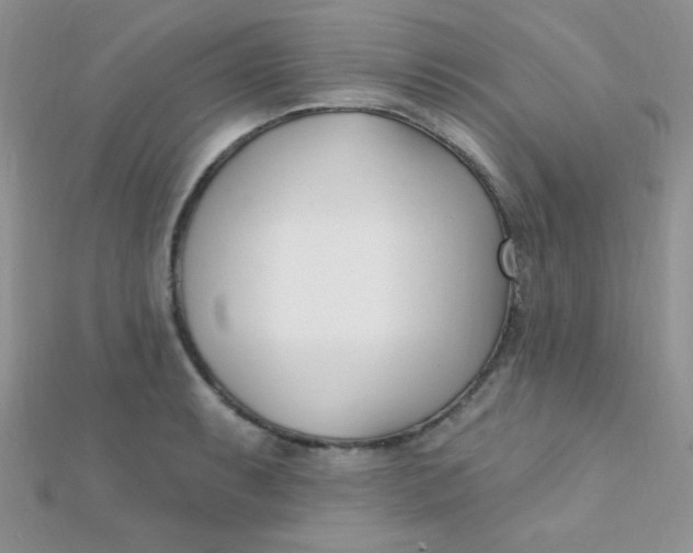 X0000112391087200909032009