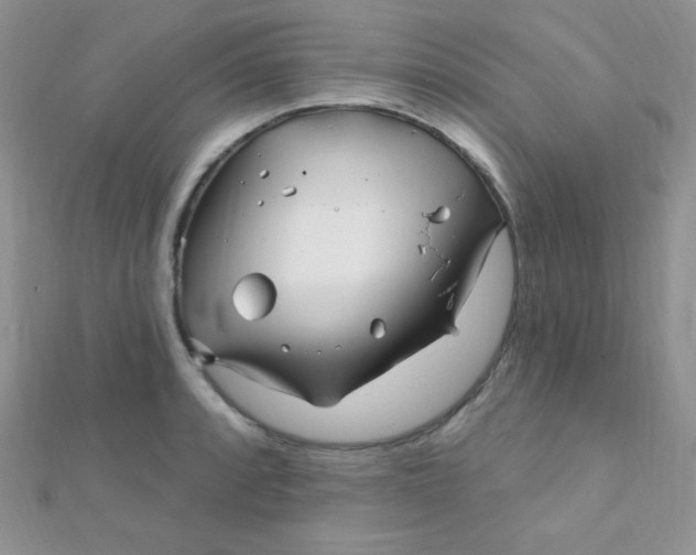 X0000112391088200909032009