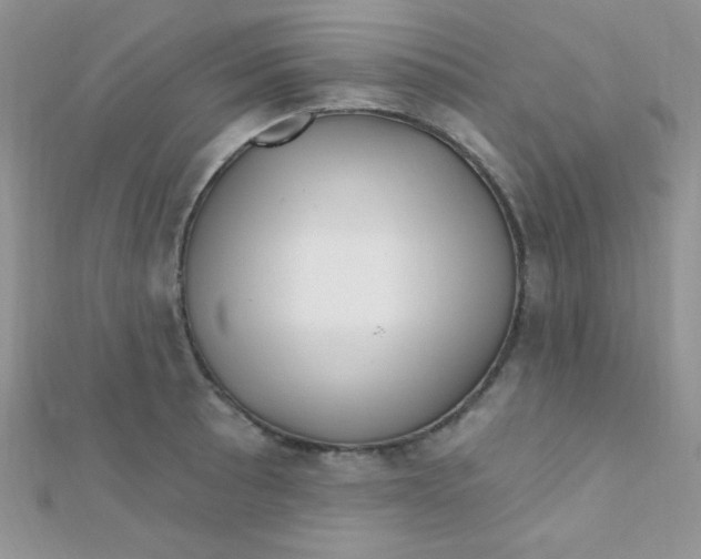 X0000112391089200909032009