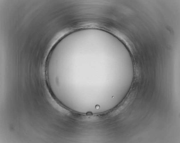 X0000112391090200909032009