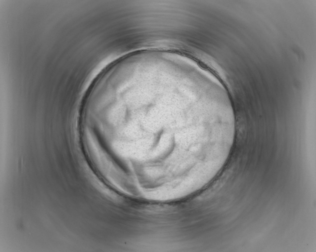 X0000112391091200909032009