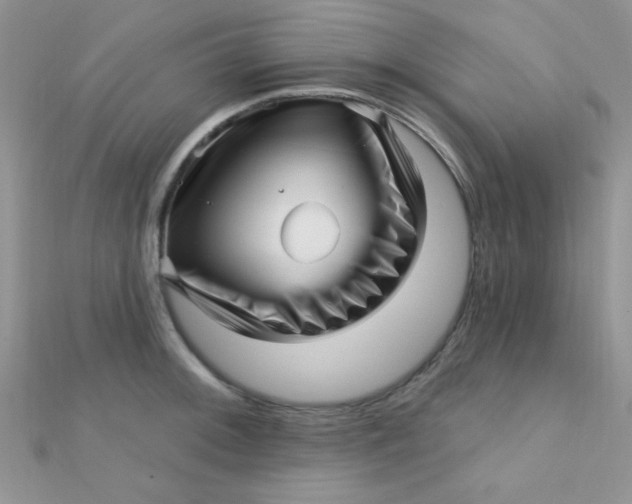 X0000112391092200909032009