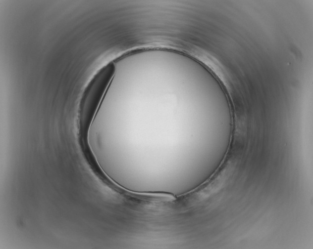 X0000112391093200909032009