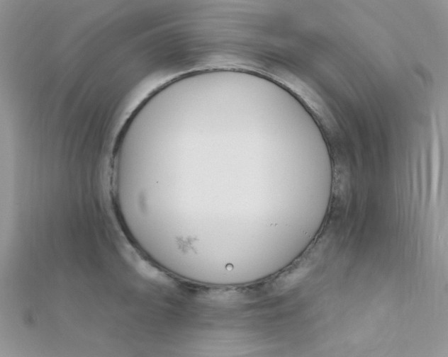 X0000112391094200909032009