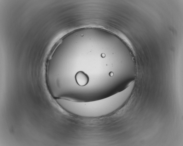 X0000112391096200909032009