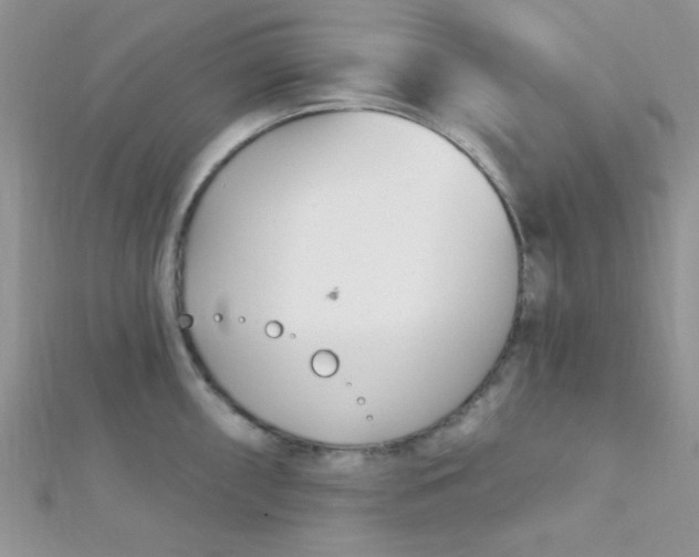 X0000112391098200909032009