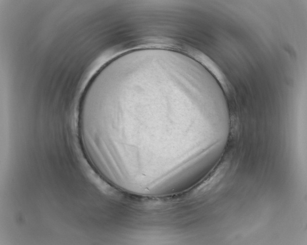 X0000112391099200909032009