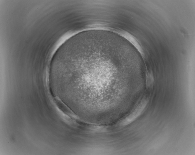 X0000112391101200909032008