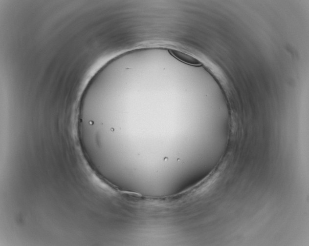 X0000112391102200909032008