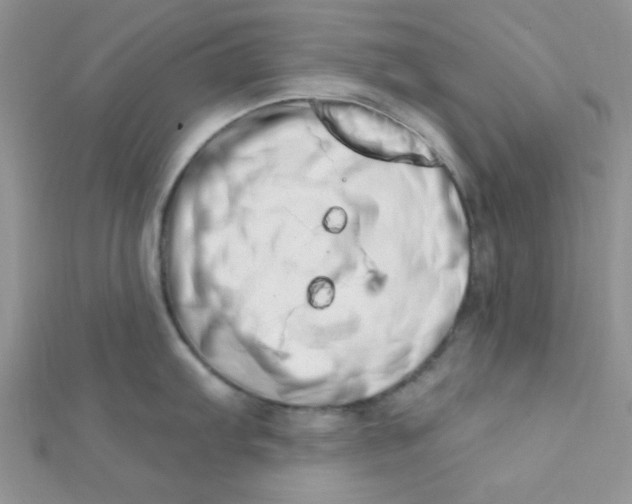 X0000112391103200909032008