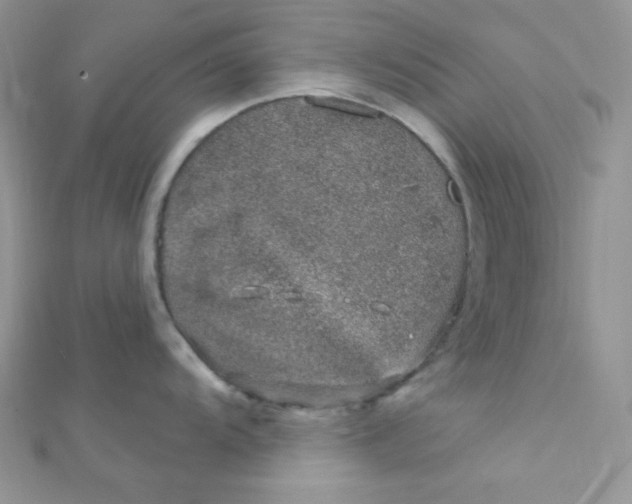 X0000112391104200909032008