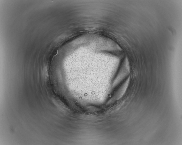 X0000112391106200909032008