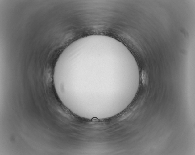 X0000112391107200909032008