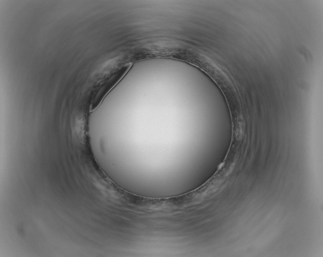 X0000112391108200909032008