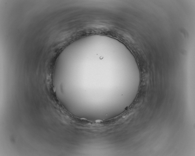 X0000112391109200909032008