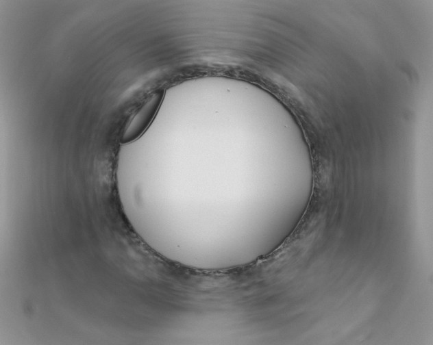 X0000112391110200909032008