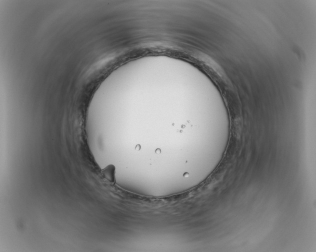 X0000112391111200909032008