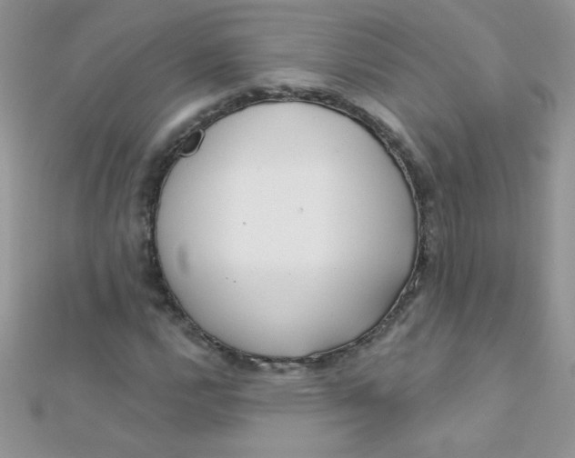 X0000112391112200909032008