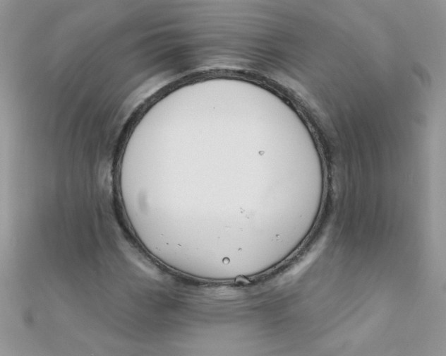 X0000112391113200909032008