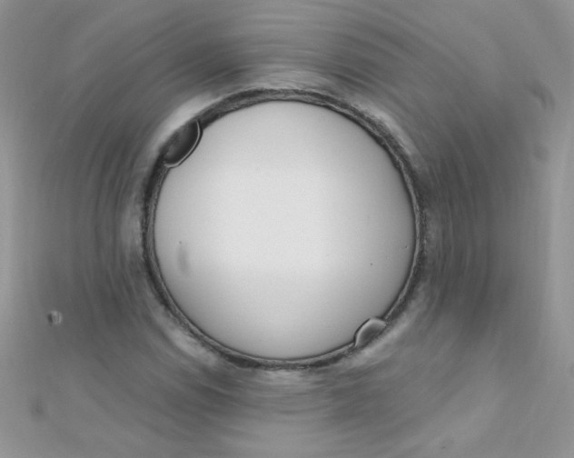 X0000112391114200909032008