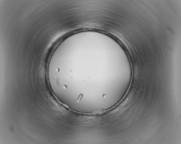 X0000112391115200909032008