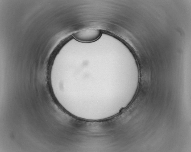 X0000112391116200909032008