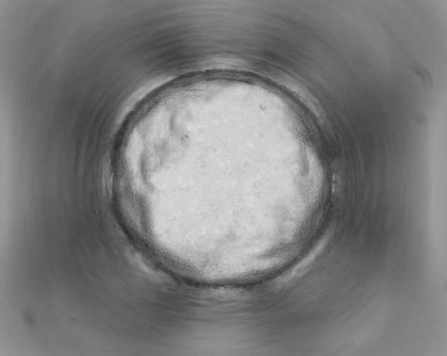 X0000112391117200909032008