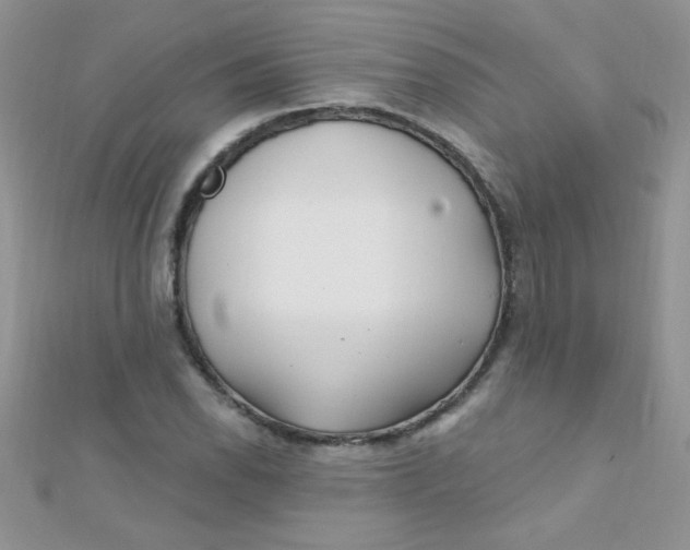 X0000112391118200909032008