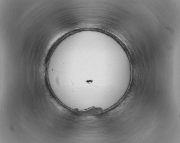 X0000112391119200909032008