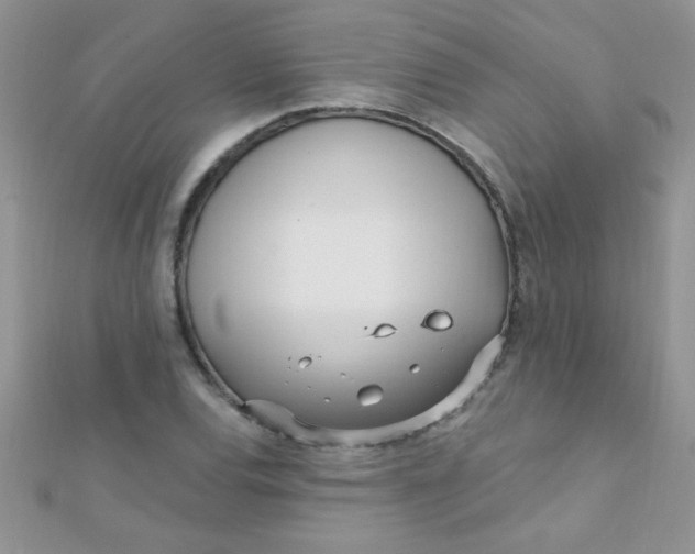 X0000112391120200909032008