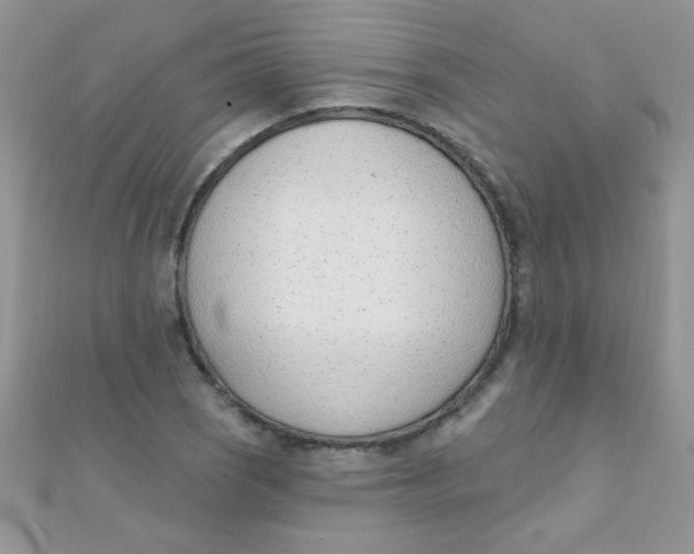 X0000112391121200909032008