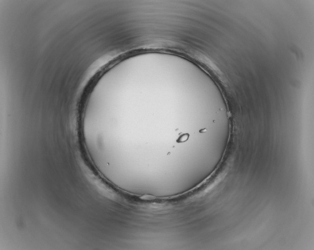 X0000112391122200909032008