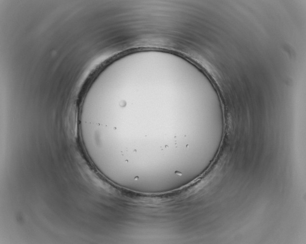 X0000112391123200909032008