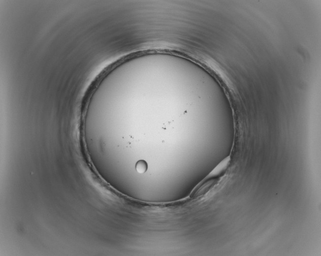 X0000112391124200909032008