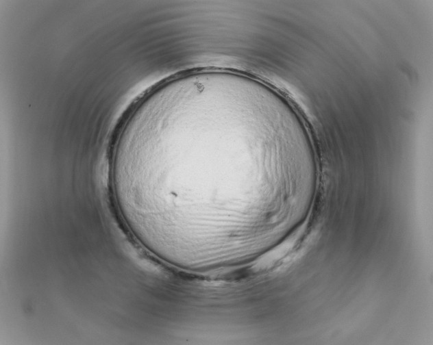 X0000112391125200909032008