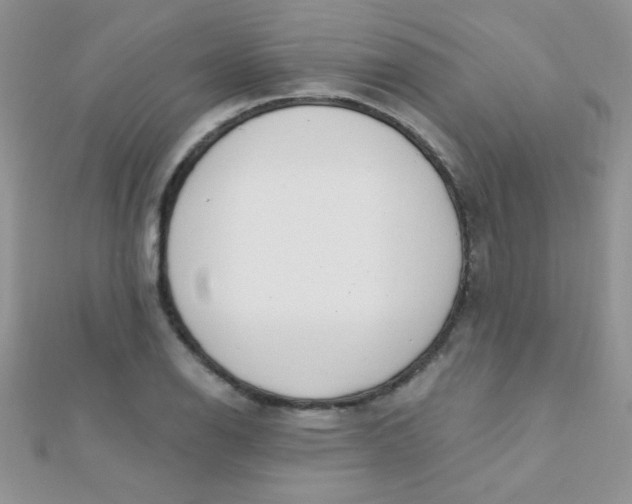 X0000112391126200909032008