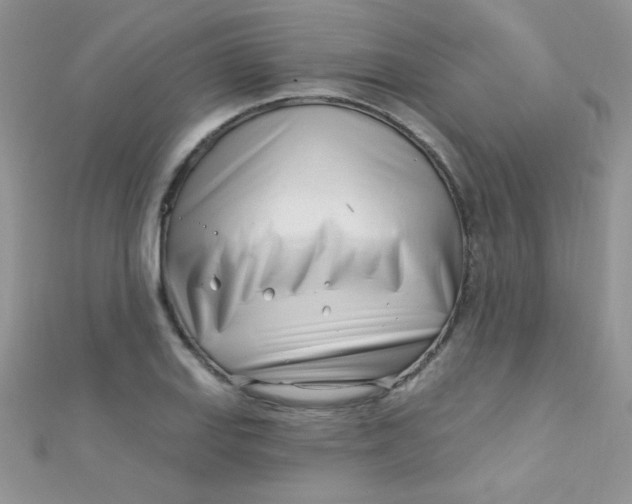 X0000112391127200909032008