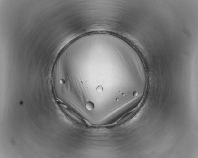 X0000112391129200909032008