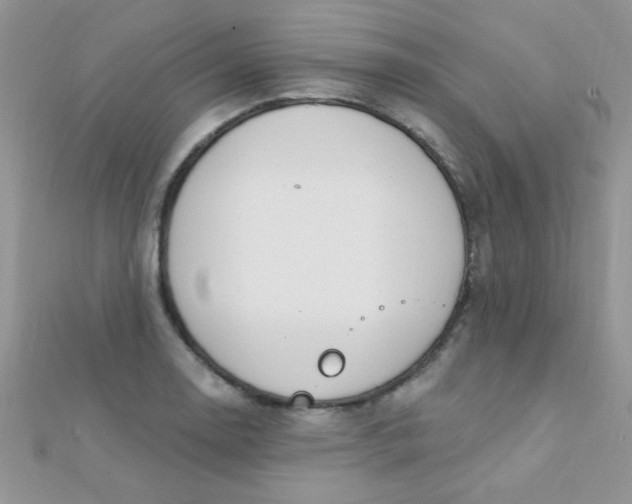 X0000112391130200909032008