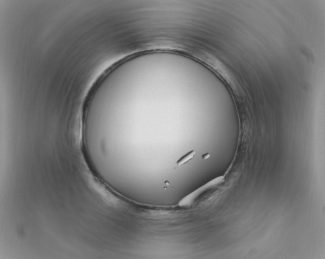 X0000112391132200909032008