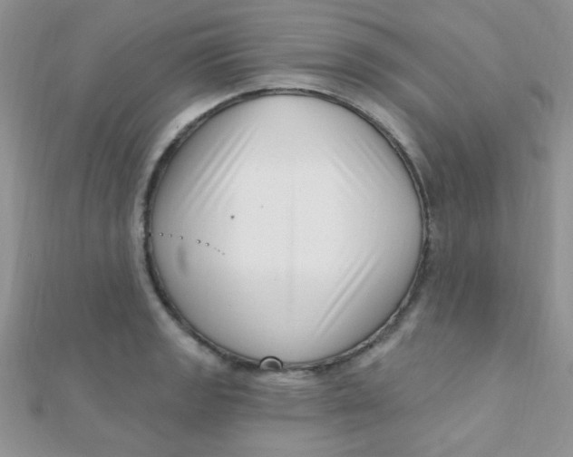 X0000112391133200909032008