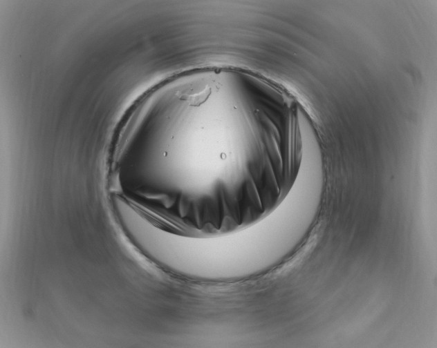 X0000112391134200909032008