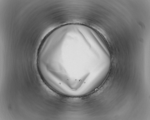 X0000112391135200909032008