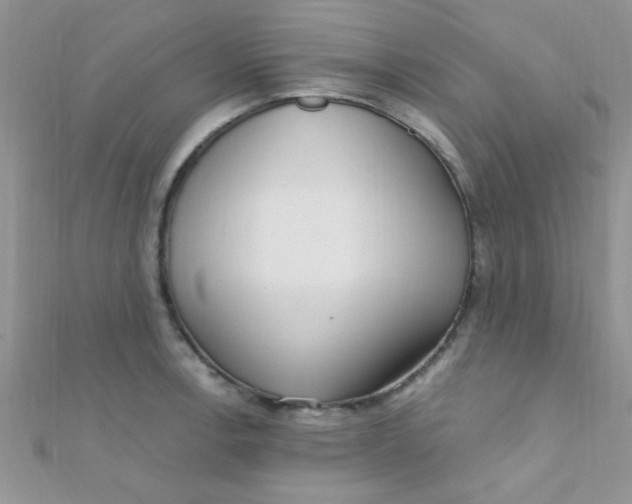 X0000112391138200909032008