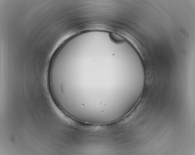 X0000112391139200909032008