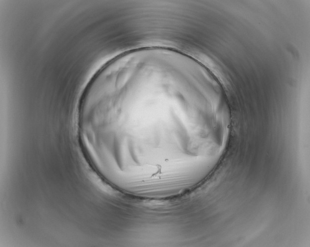 X0000112391140200909032008