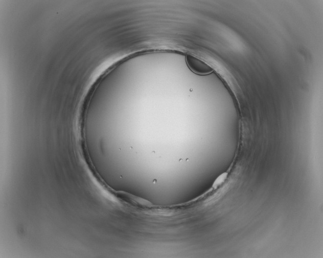 X0000112391141200909032008